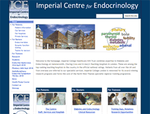 Tablet Screenshot of imperialendo.com